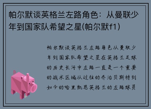 帕尔默谈英格兰左路角色：从曼联少年到国家队希望之星(帕尔默f1)
